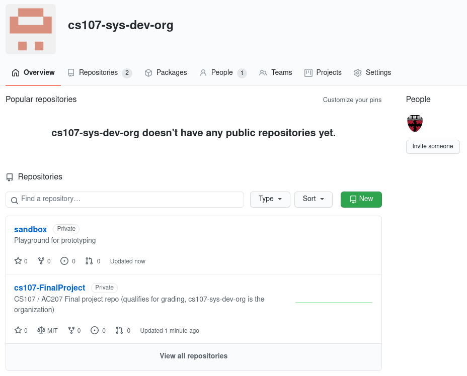 Repo overview in GitHub organization: